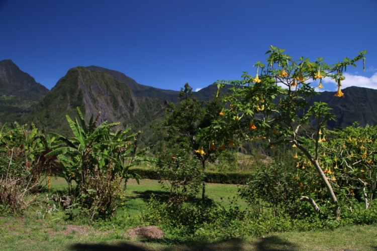 L'île de La Réunion, ce petit paradis tropical de la France